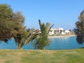 Egypt_04_05