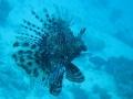 Egypt_04_48