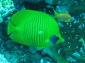 Egypt_04_49