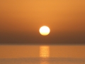 P1010431