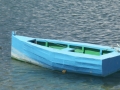 P1000411