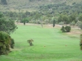 AIDA_12_c15