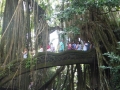 Ubud_2d