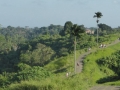 Ubud_3