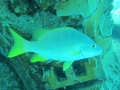 BON_PIC_41