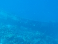 BON_PIC_43