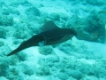BON_PIC_47
