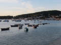 BZ_pic_7