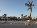 P1000895