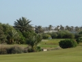 P1000910