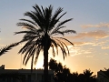 DJE_14_19