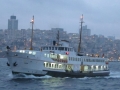 BOR_29