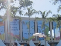 FIN_pic_5