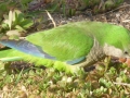 P1000494