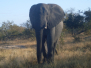 Kruger Park