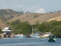 TS31