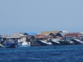 TS73