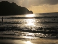FDN_pic_13