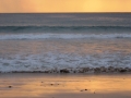 FDN_pic_14