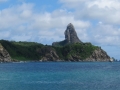 FDN_pic_15