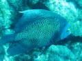 FDN_pic_17