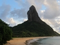 FDN_pic_23