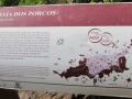 FDN_pic_29