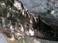 FDN_pic_32