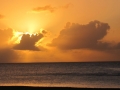 FDN_pic_4