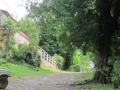FDN_pic_8