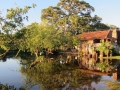PAN-Pic_10
