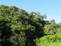 PAN-Pic_11