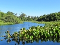 PAN-Pic_13