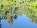 PAN-Pic_14
