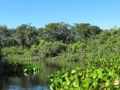 PAN-Pic_16