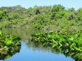 PAN-Pic_17
