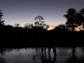 PAN-Pic_22