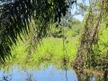 PAN-Pic_23