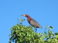 PAN-Pic_24