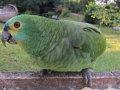 PAN-Pic_26