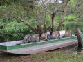 PAN-Pic_28