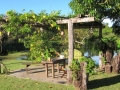 PAN-Pic_3