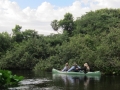 PAN-Pic_30