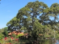 PAN-Pic_38
