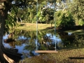PAN-Pic_39