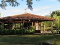 PAN-Pic_4