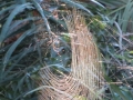 PAN-Pic_53