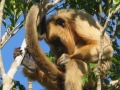 PAN-Pic_59