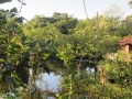 PAN-Pic_9