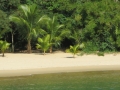 PY_PIC_29
